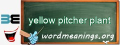 WordMeaning blackboard for yellow pitcher plant